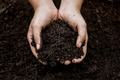 Composting from Waste of Intaglio Wiping Solution