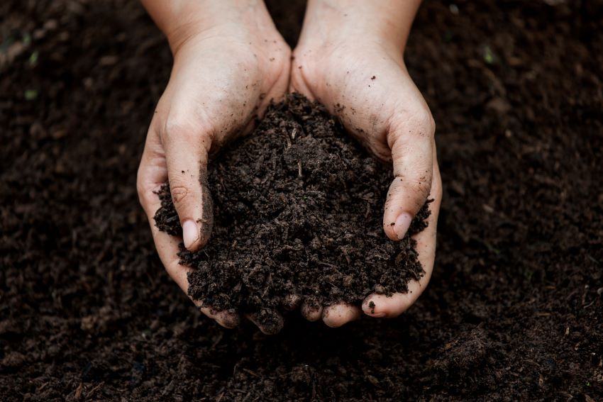 Composting from Waste of Intaglio Wiping Solution