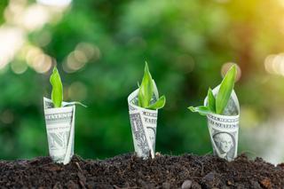 From Cash to Conservation