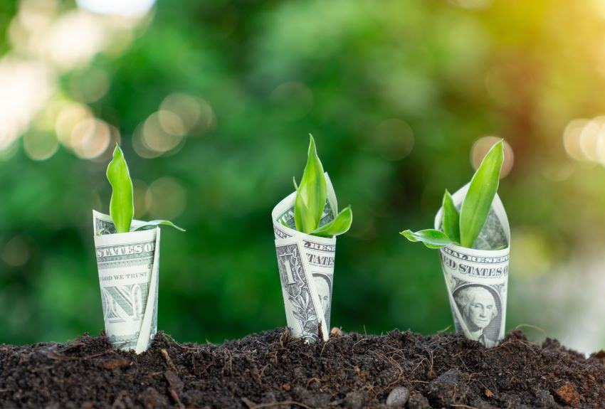 From Cash to Conservation