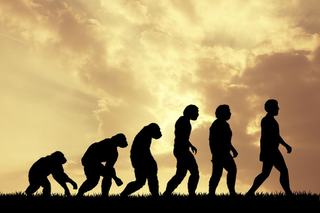 The Need for Revolution, Not Evolution
