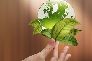 The Challenge of Sustainability in Procurement