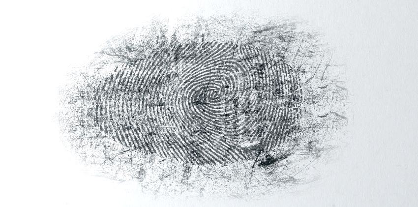Advanced Fluorescent Nanomaterials Transform Forensic Fingerprint Analysis