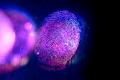 Researchers Advance Optical Fingerprinting for Authentication