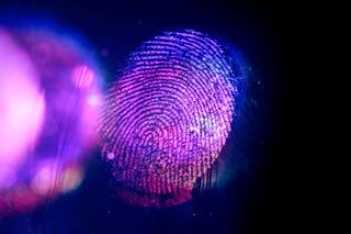 Researchers Advance Optical Fingerprinting for Authentication