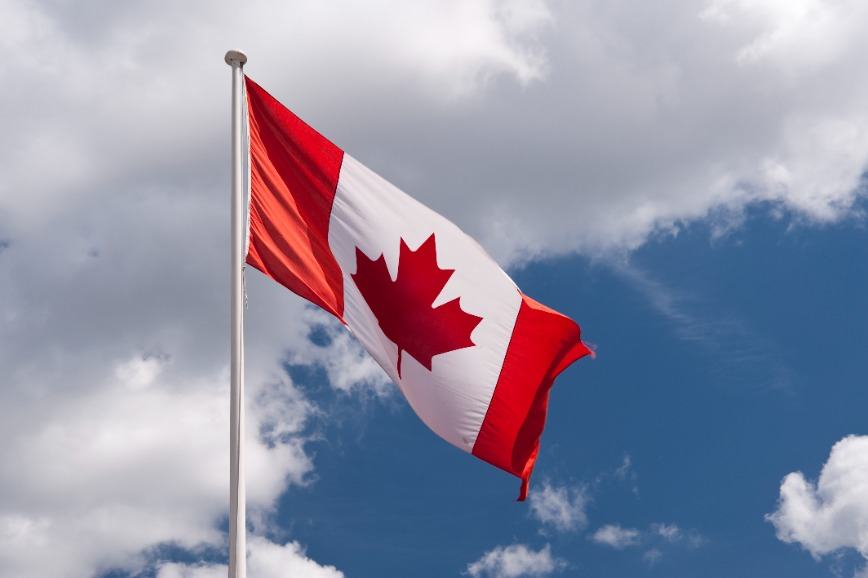 A Year of Pivot for RCM, as Bullion Sales Boom, But Coins Decline