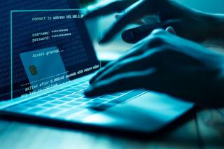 Fraud and Who Should Pay