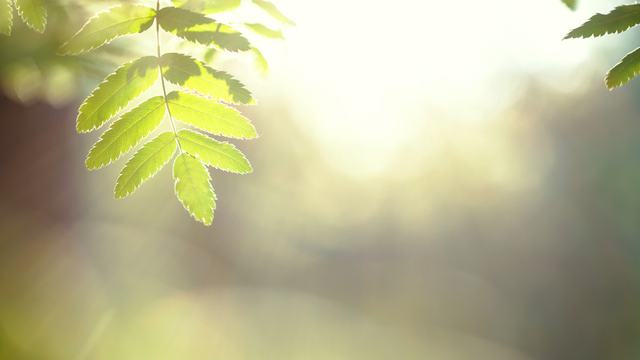 Durasafe® Eco – Better for the Environment