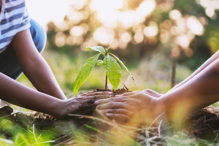 Measuring Climate Change