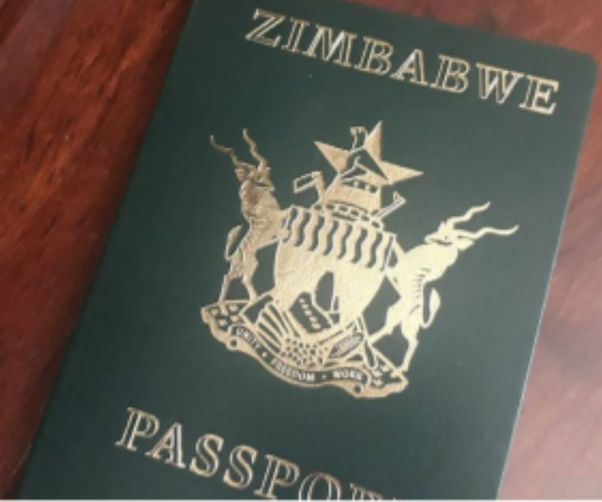 Concerns and Confusion in Biometric Passports Bidding Processes