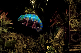 Emerging Holographic Displays and Their Impact on Storage Demand