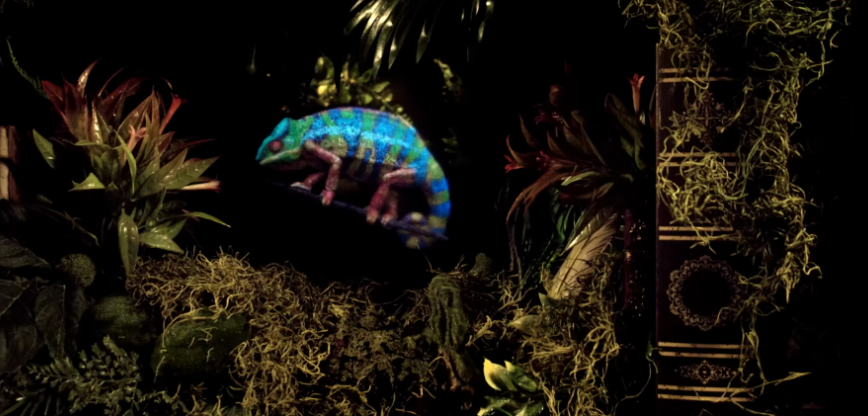 Emerging Holographic Displays and Their Impact on Storage Demand