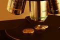A New Lens on Health: Honeywell Unveils Digital Holographic Microscopy