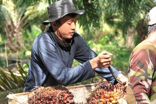 More Companies Turn to Blockchain for Sustainable and Authentic Supply Chains