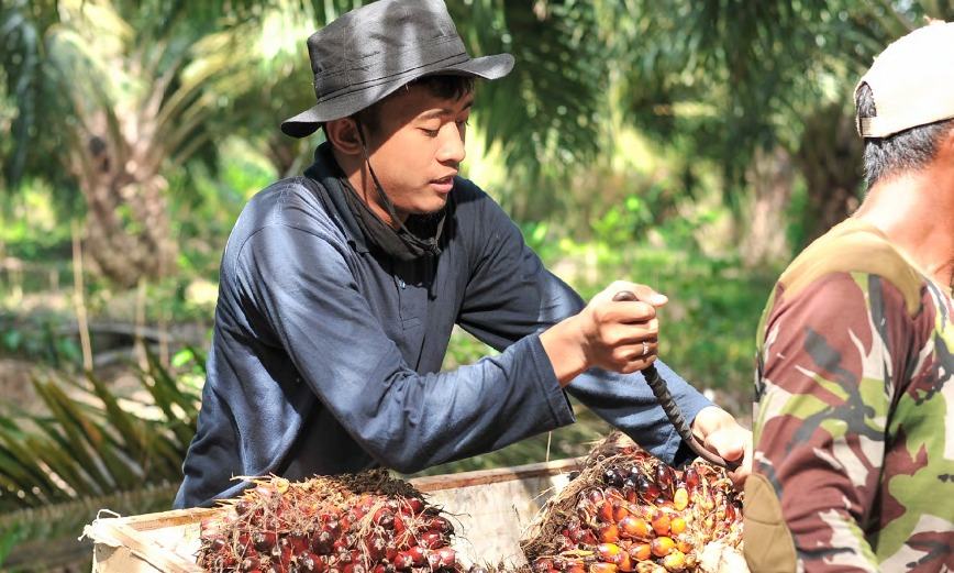 More Companies Turn to Blockchain for Sustainable and Authentic Supply Chains