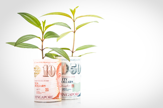 MAS Sustainability Report