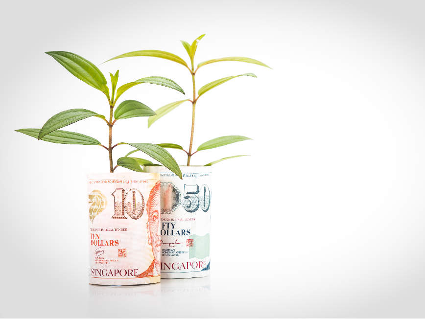MAS Sustainability Report