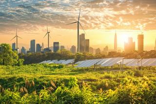 Sustainable Cash: Why Fibre-Based Banknotes Lead the Way