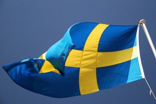 Exploring the Innovative Potential of the E-Krona