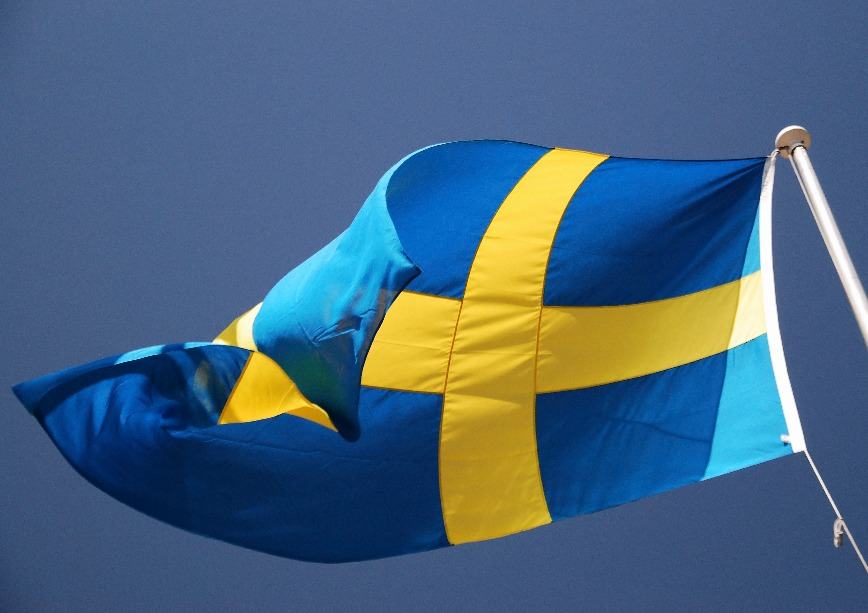 Exploring the Innovative Potential of the E-Krona