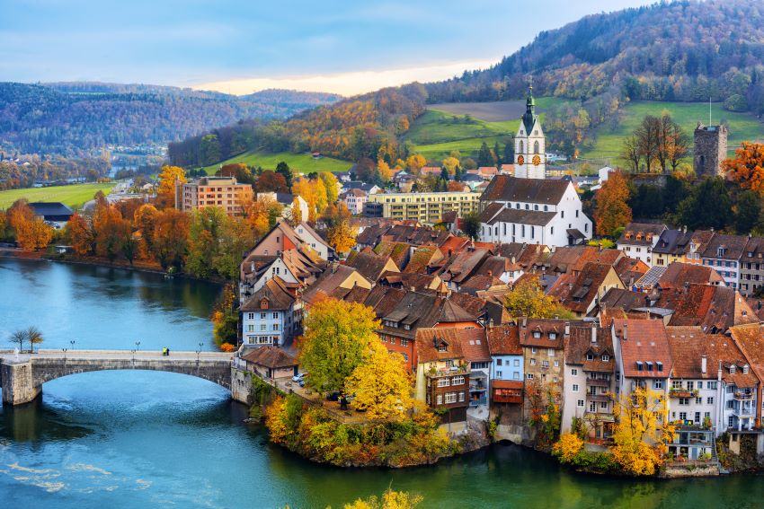 SNB: Step by Step Understanding of Wholesale CBDC