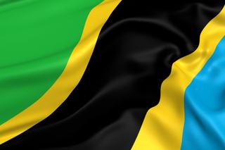 Tanzania’s Tax Stamp Success