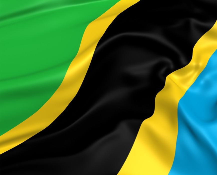 Tanzania’s Tax Stamp Success