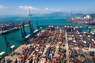 WTO Releases New Report on Food Fraud