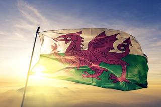 Wales Launches Complementary Currency to Boost COVID-Affected Economy